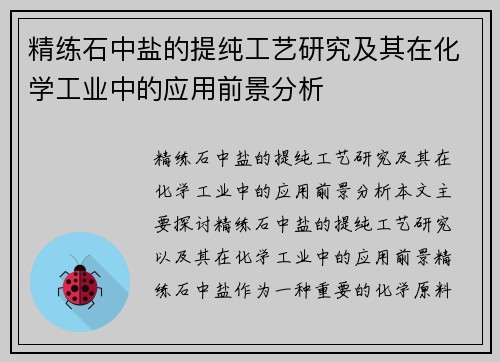 精练石中盐的提纯工艺研究及其在化学工业中的应用前景分析